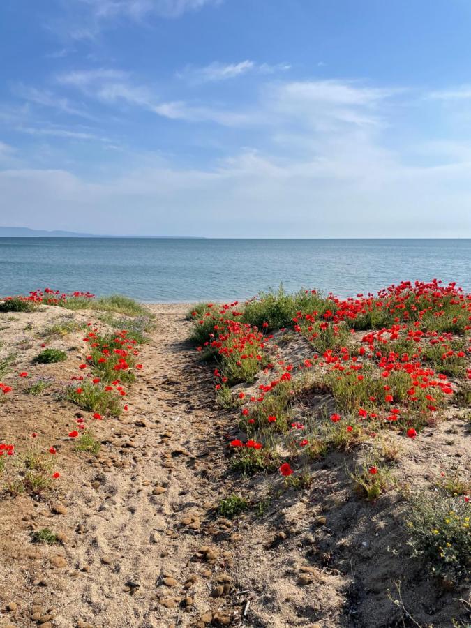 B&B Tre - Rooms & Relax Oristano Kültér fotó